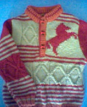 The red horse jumper